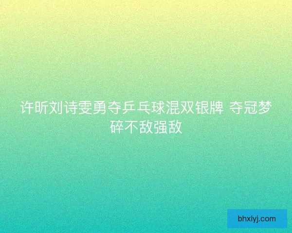 许昕刘诗雯勇夺乒乓球混双银牌 夺冠梦碎不敌强敌
