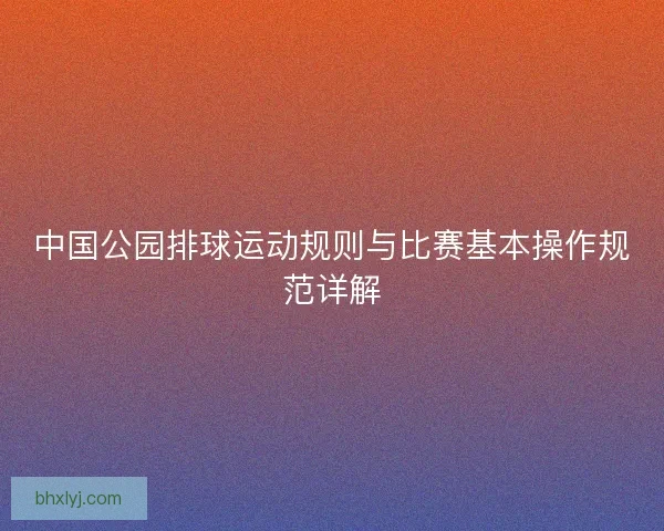 中国公园排球运动规则与比赛基本操作规范详解